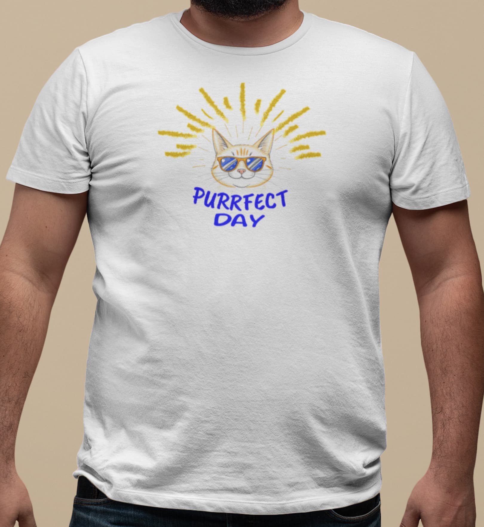 Close-up of Purrfect Day Cat T-Shirt – stylish feline with sunglasses framed by sunburst rays and text Purrfect Day